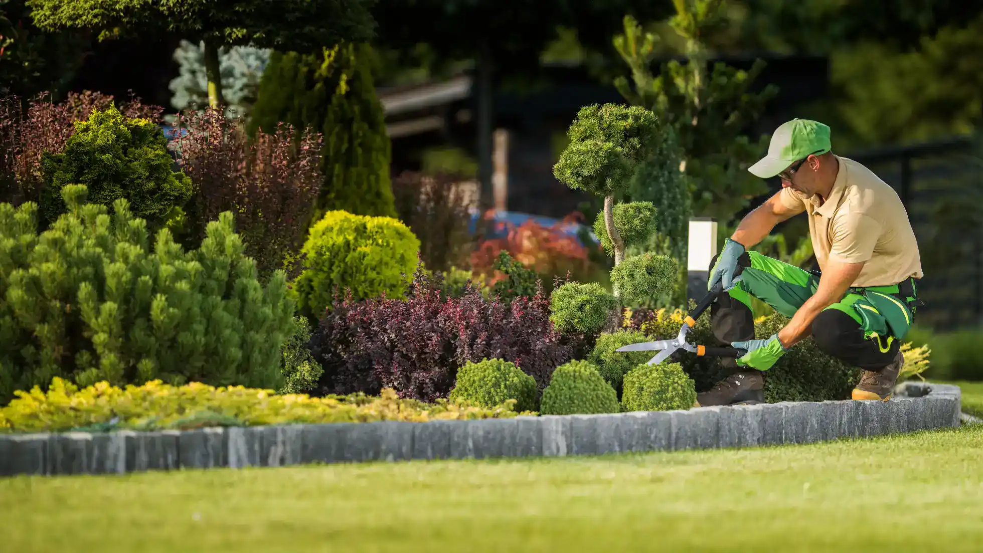 Landscaping & Grounds